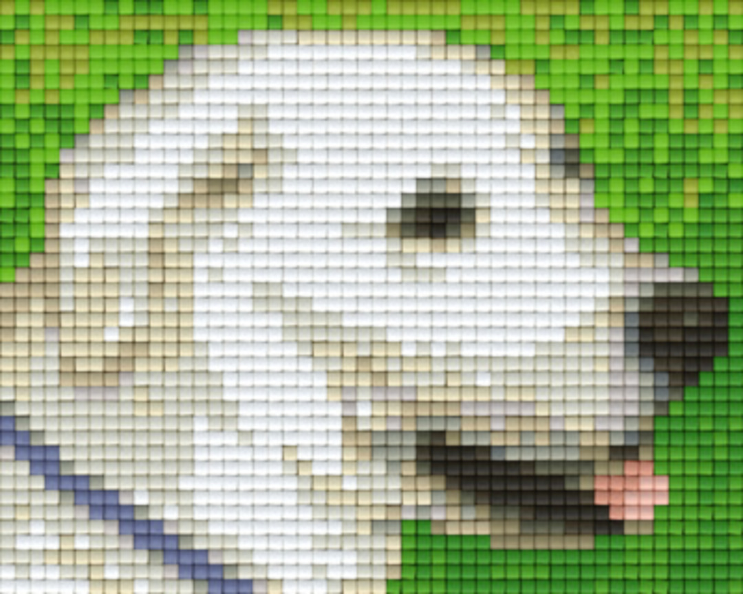 Paco The Dog One [1] Baseplate PixelHobby Mini-mosaic Art Kit image 0